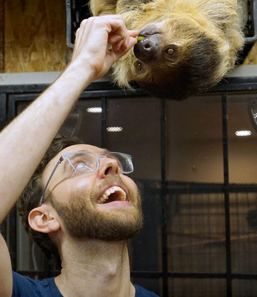 Visiting the Sloth Center in Portland